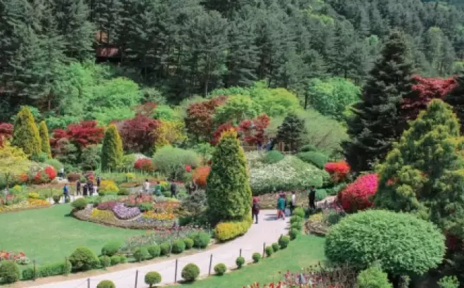 Lạc lối trong khu vườn cổ tích Morning Calm