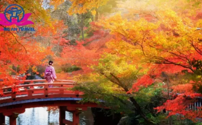 Tất cả những điều bạn nên biết khi muốn đi du lịch Nhật Bản tháng 10