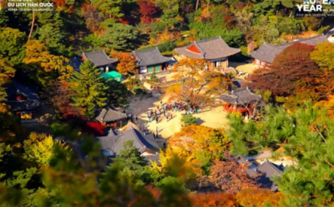 Du lịch Incheon - Khám phá thành phố cảnh quốc tế lớn nhất Hàn Quốc