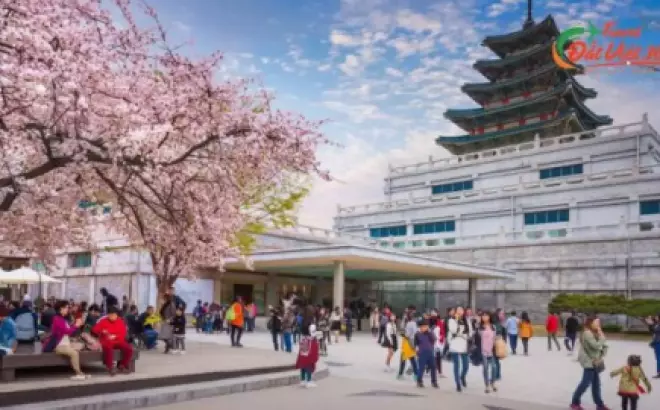 Tour Du Lịch Hàn Quốc: Khám Phá Vẻ Đẹp Tuyệt Vời Trên Bán Đảo Triều Tiên