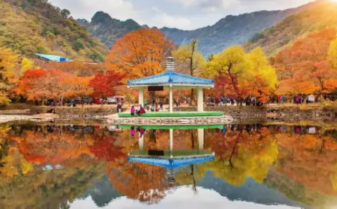 Tour Du Lịch Hàn Quốc Mùa Thu: Trải Nghiệm Seoul – Nami– Everland – Hero Show