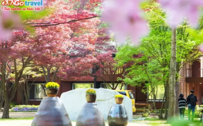 Du lịch Hàn Quốc Tết Nguyên Đán 2023: Trải nghiệm độc đáo trong 5 ngày 4 đêm