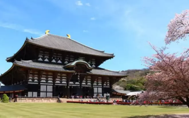 Tour Du Lịch Trải Nghiệm 2023: Đặc Trưng Vàng Của Nhật Bản