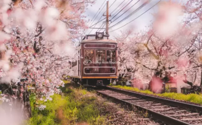 Đi Nhật mùa nào để có chuyến du lịch tuyệt vời?