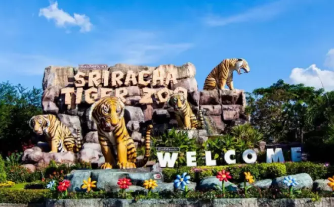 Tour du lịch Thái Lan từ Hà Nội 5 ngày 4 đêm: Bangkok - Pattaya