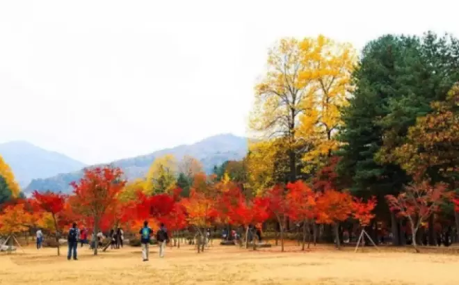 Du lịch Hàn Quốc tháng 9: Mùa thu hấp dẫn đang chờ đón bạn