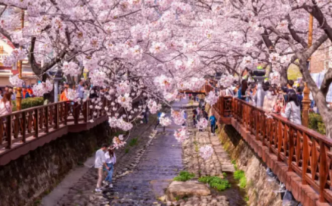 Tour du lịch Hàn Quốc tết 2024: Khám phá lịch trình hấp dẫn