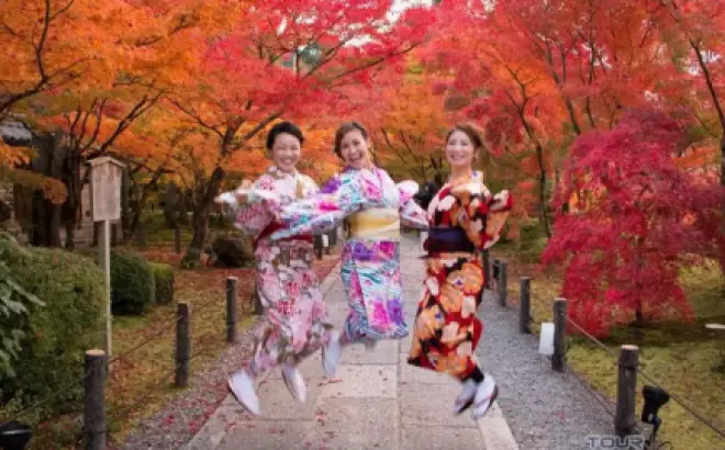 Tour Nhật Bản từ Đà Nẵng: Khám phá xứ sở hoa anh đào