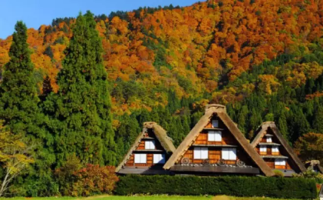 Chuyên tổ chức tour tham quan Nhật Bản - Khám phá những điểm đến mùa lá đỏ tuyệt đẹp