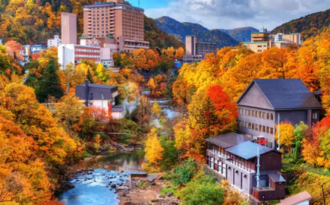 Đắm say vẻ đẹp mùa thu Hokkaido Nhật Bản