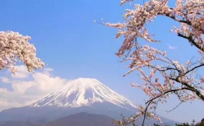 Du lịch Nhật Bản: Khám phá Tokyo, Hakone, Núi Phú Sĩ, Kawaguchiko và Nikko