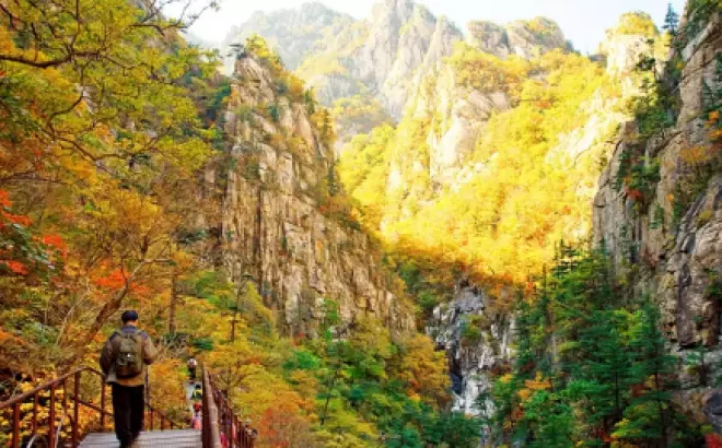 Tour Seoraksan - Incheon - Seoul - Nami: Khám phá Hàn Quốc trong 5 ngày 4 đêm