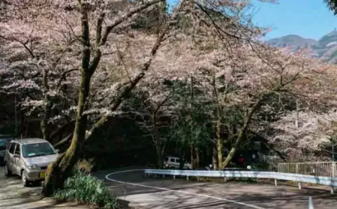 Kinh nghiệm du lịch Hakone cùng tận hưởng tắm Onsen của Nhật Bản