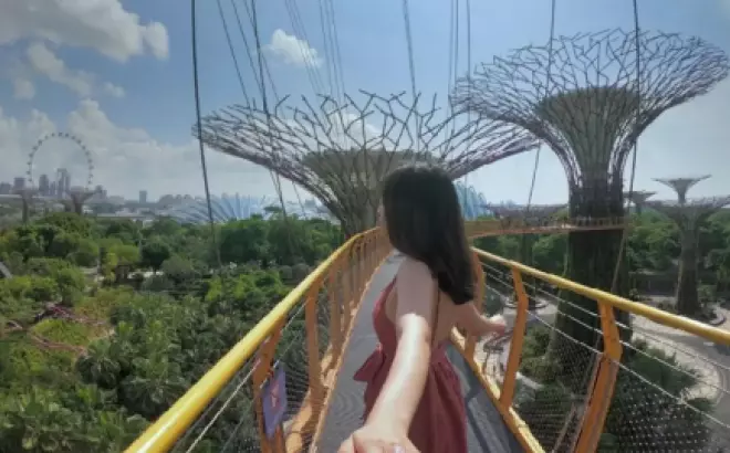 Du Lịch Singapore Tự Túc Từ A đến Z: Kinh Nghiệm và Mẹo Hay