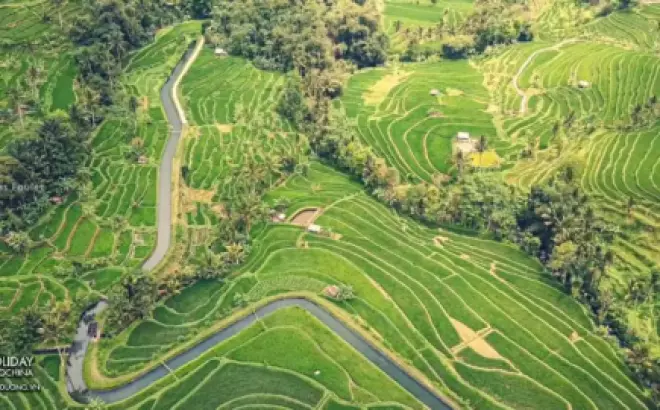 Kinh nghiệm Du lịch Bali 2024 đầy đủ nhất