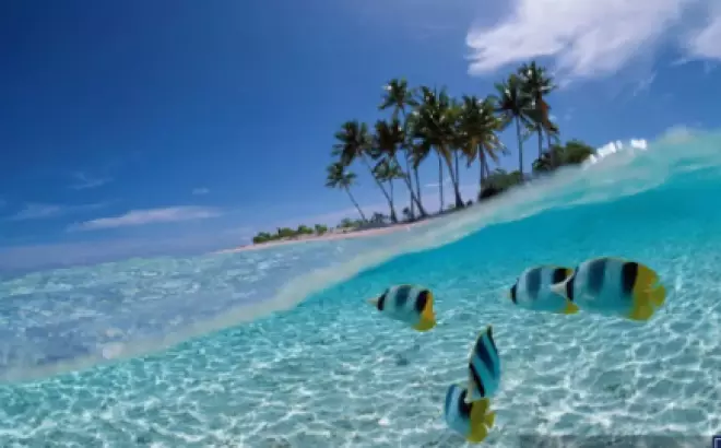 Du lịch Indonesia tháng 10: Khám phá Bali - Jakarta trong 6 ngày 5 đêm