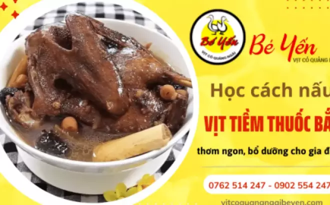 Học cách nấu vịt tiềm thuốc bắc thơm ngon, bổ dưỡng cho gia đình
