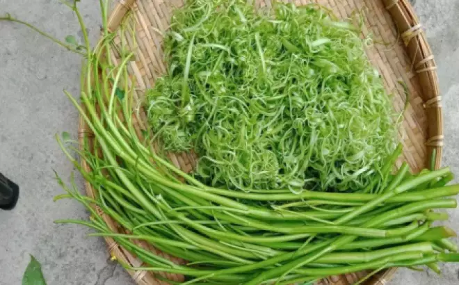 Lẩu gà lá giang: Tìm rau kết hợp hòa quyện hương vị!