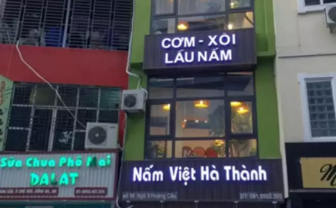 Nấm Việt Hà Thành: Một Địa Điểm Hấp Dẫn Cho Tín Đồ Nấm