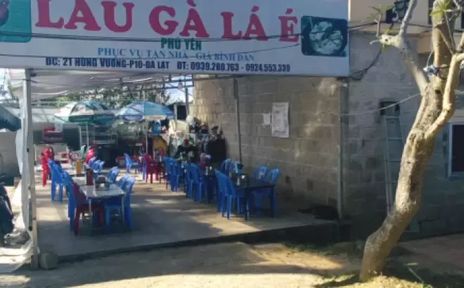 Lẩu Gà Lá É Thúy Hiếu - Một trải nghiệm đích thực tại Đà Lạt