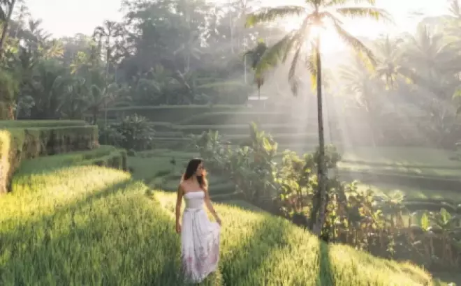 Kinh nghiệm du lịch khu Ubud Bali - cách đến, chơi gì, ở đâu?