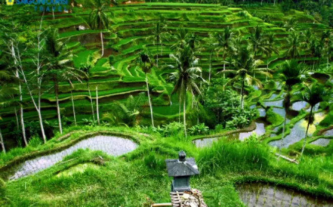 Du Lịch Indonesia: Khám phá Bali trong 3 ngày
