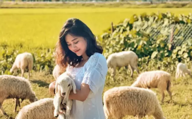 Kinh nghiệm du lịch đồng cừu suối Tiên Nha Trang cực hot